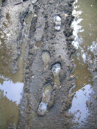 intryckta avtryck uttrycker